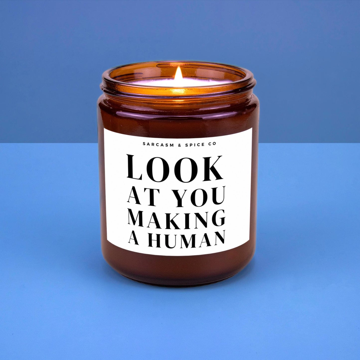 Baby Shower Gift New Mom Gift for Pregnant Gift Mother's Day Gift First Time Mom Gift for Pregnant Friend Candle Look at You Making a Human