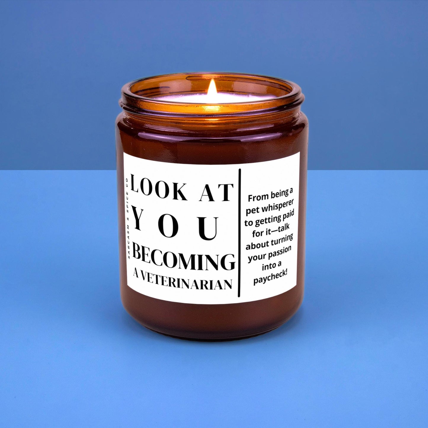 Veterinarian Graduation Veterinary Student Gift Vet School Graduate Gift New Vet School Student Candle Look at You Becoming a Veterinarian