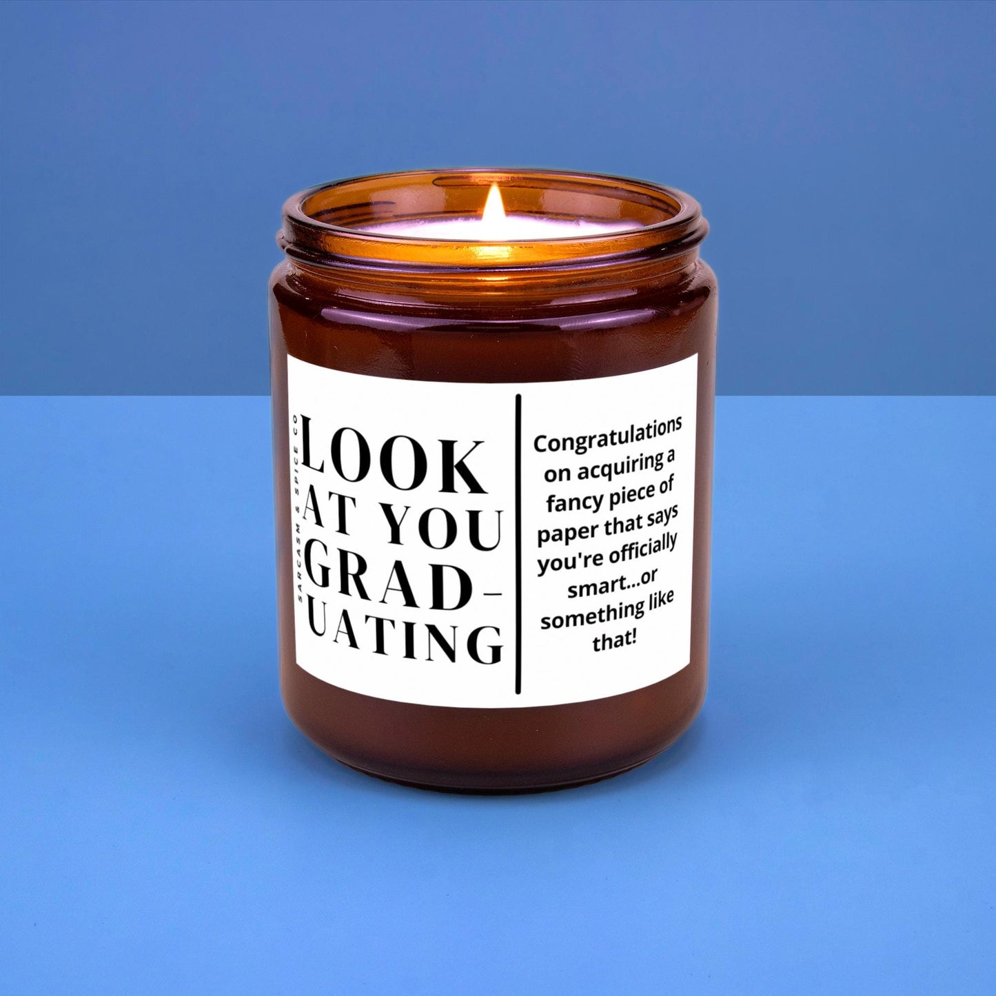 Graduation Gift Bachelors Degree Masters Graduation Nursing School High College Grad Funny Grad PHD Candle Look at You Graduating
