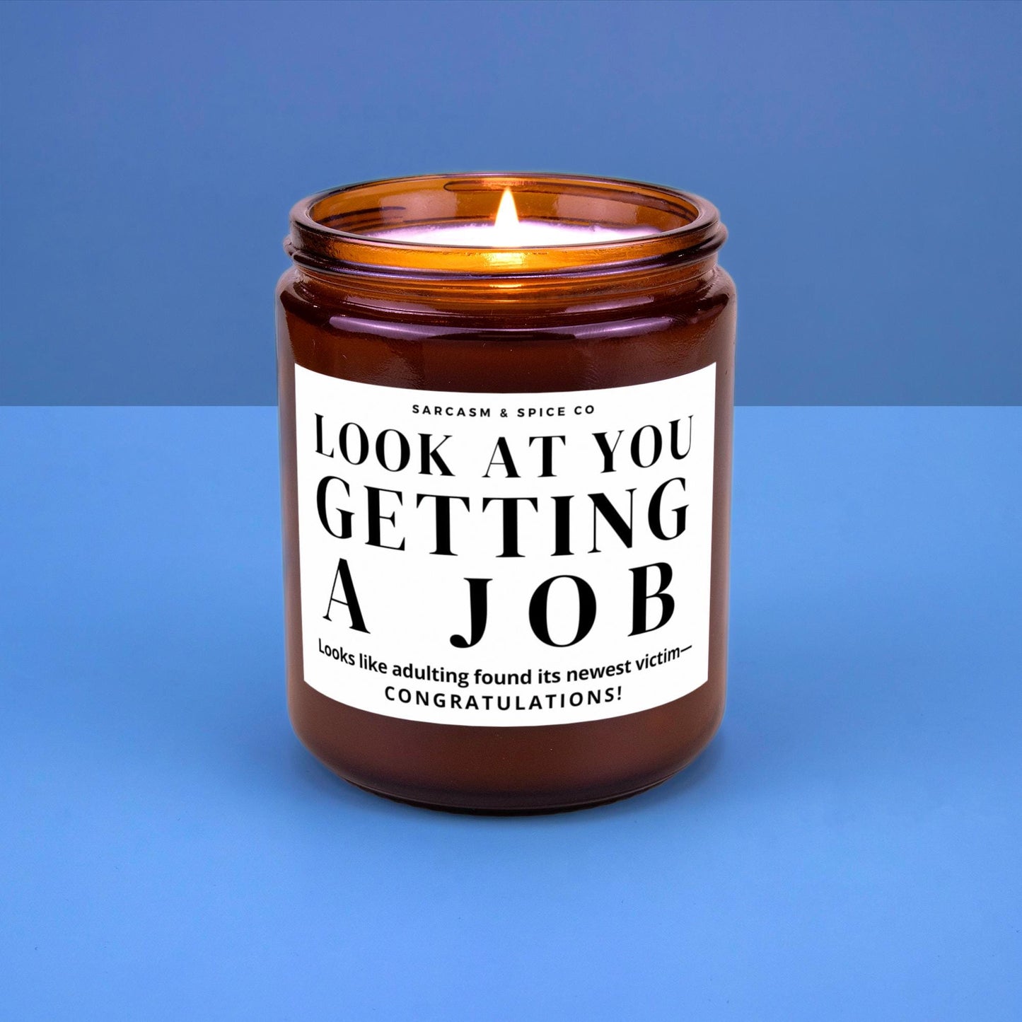 New Job Gift Promotion at Work Congratulations Gift for Friend New Job Graduation Gift Work Bestie Adulting Look at You Getting a New Job