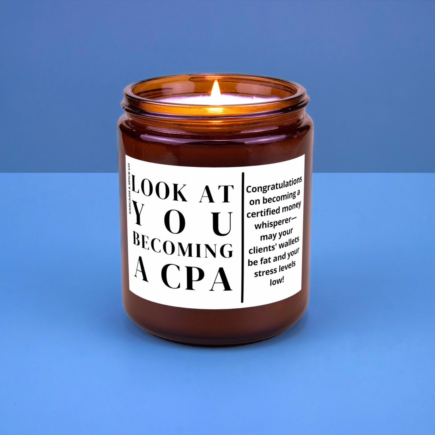 CPA Gift for CPA Future Accountant Graduation New Company Gift Promotion School Acceptance Look at You Becoming a CPA