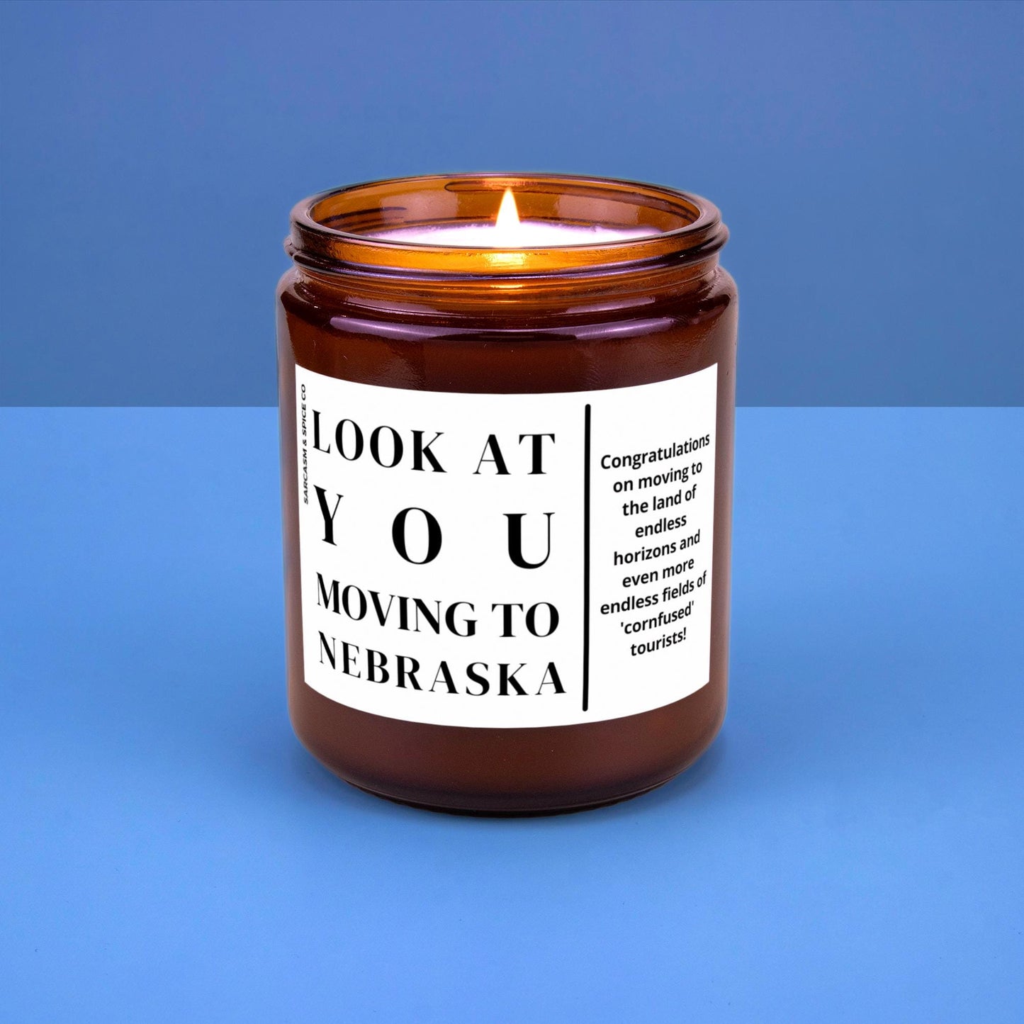 Nebraska Moving Gift for New Home Housewarming Gift Friend Family Moving Job New Life Hand-Poured Soy Candle Look At You Moving To Nebraska