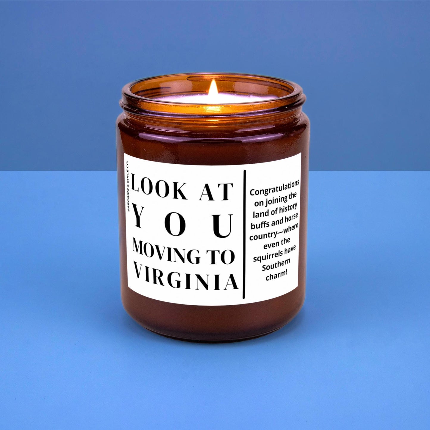 Virginia Moving Gift for New Home Housewarming Gift Friend Family Moving Job New Life Hand-Poured Soy Candle Look At You Moving To Virginia