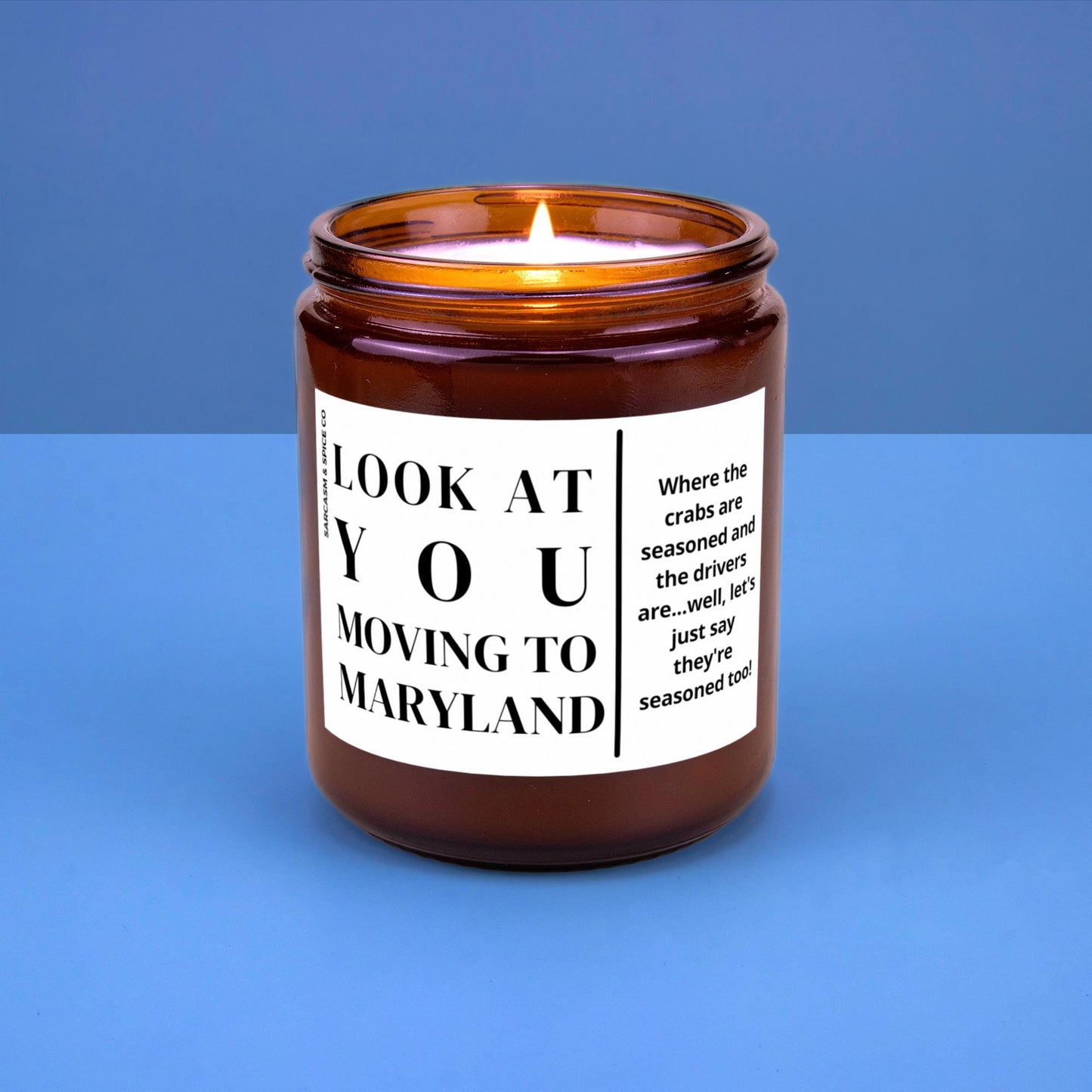 Maryland Moving Gift for New Home Housewarming Gift Friend Family Moving Job New Life Hand-Poured Soy Candle Look At You Moving To Maryland