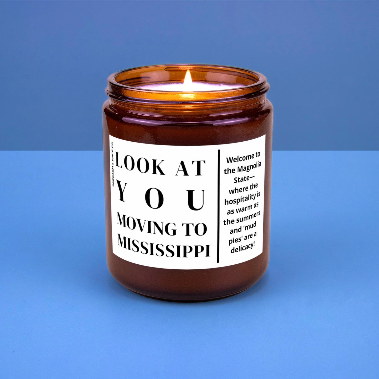 Mississippi Moving Gift for New Home Housewarming Gift Friend Family Moving Job New Life Soy Candle Look At You Moving To Mississippi