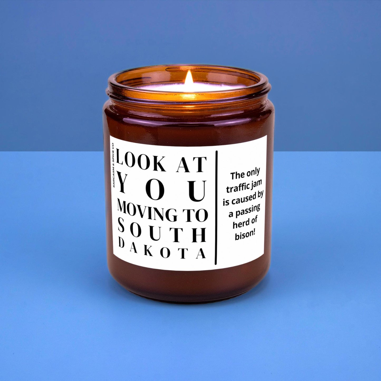 South Dakota Moving Gift for New Home Housewarming Gift Friend Family Moving Job New Life Soy Candle Look At You Moving To South Dakota