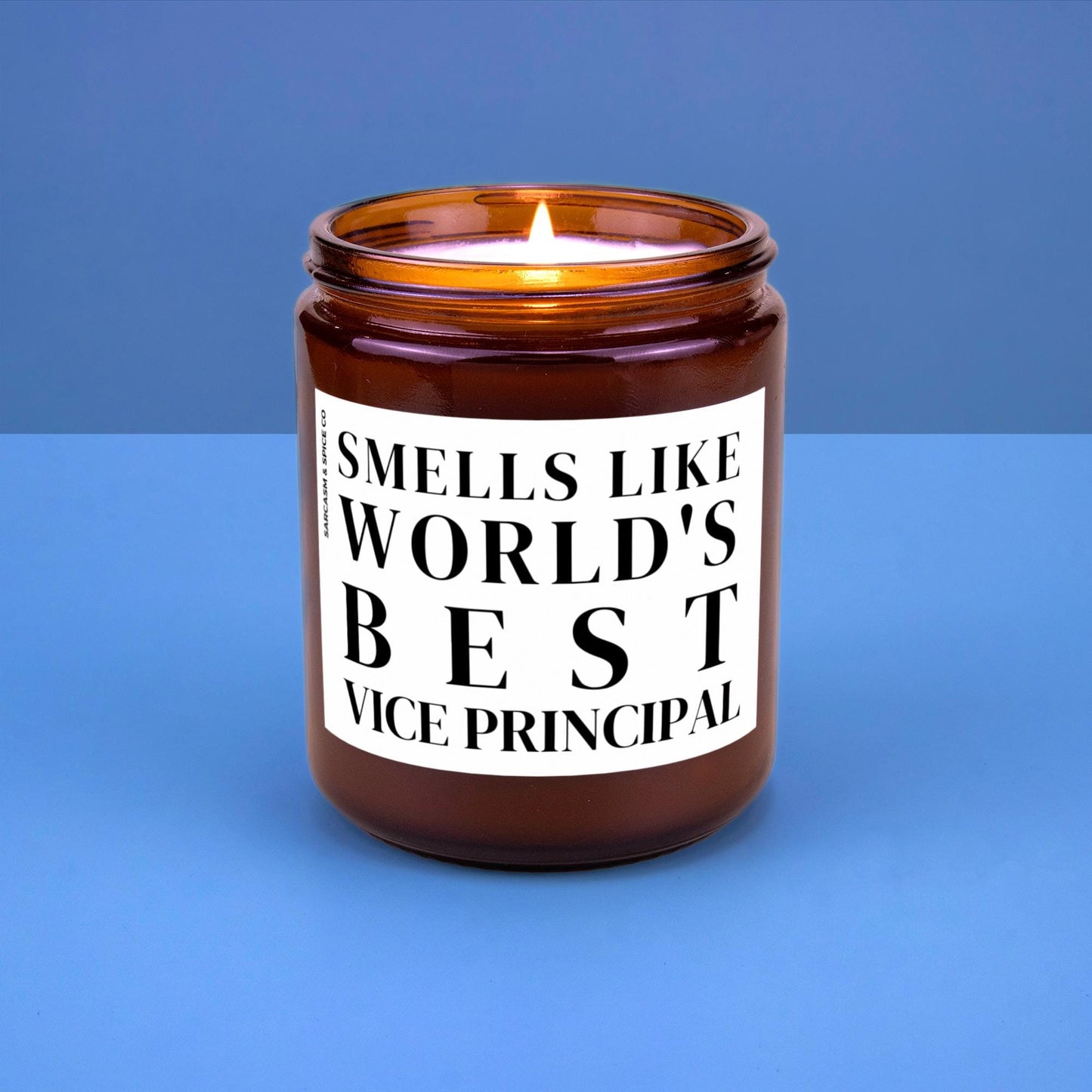 Vice Principal Appreciation Gift Vice Principal Funny Candle Funny Surprise Gift for Teacher Smell Like Worlds Best Vice Principal