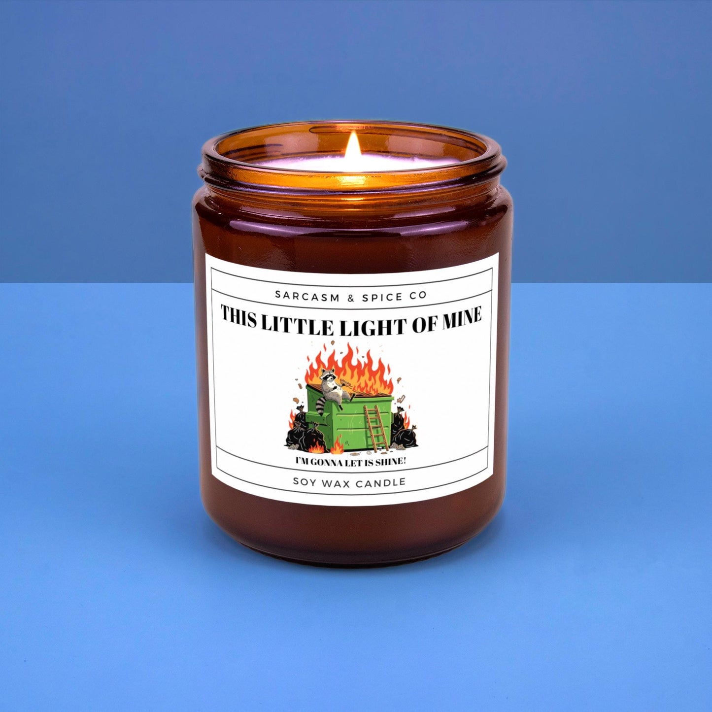 Funny Gift Candle for Friends Coworkers and Anyone Who Loves Humor and Sarcastic Home Decor – This Little Light of Mine Candle