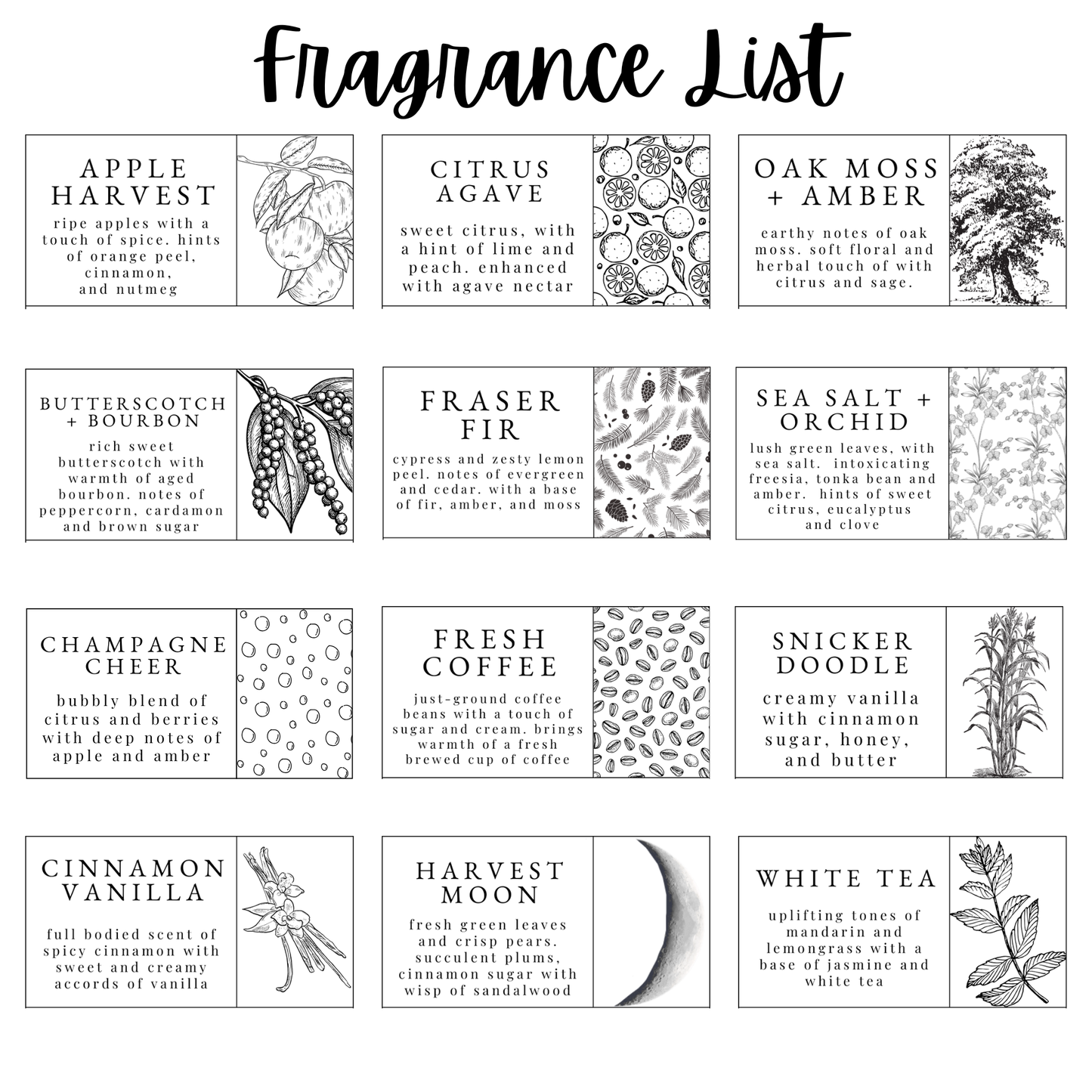 a collection of 16 different fragrances, each represented by a unique image and description. The fragrances include apple harvest, citrus, oak moss, butterscotch, fern, sea salt, orchid, champagne cheer, snicker doodle, cinnamon, white tea, and white tea. Each fragrance is accompanied by a detailed description, which is not repetitive and avoids redundancy. The images and descriptions are clear and concise, providing a comprehensive overview of the various scents and their characteristics.