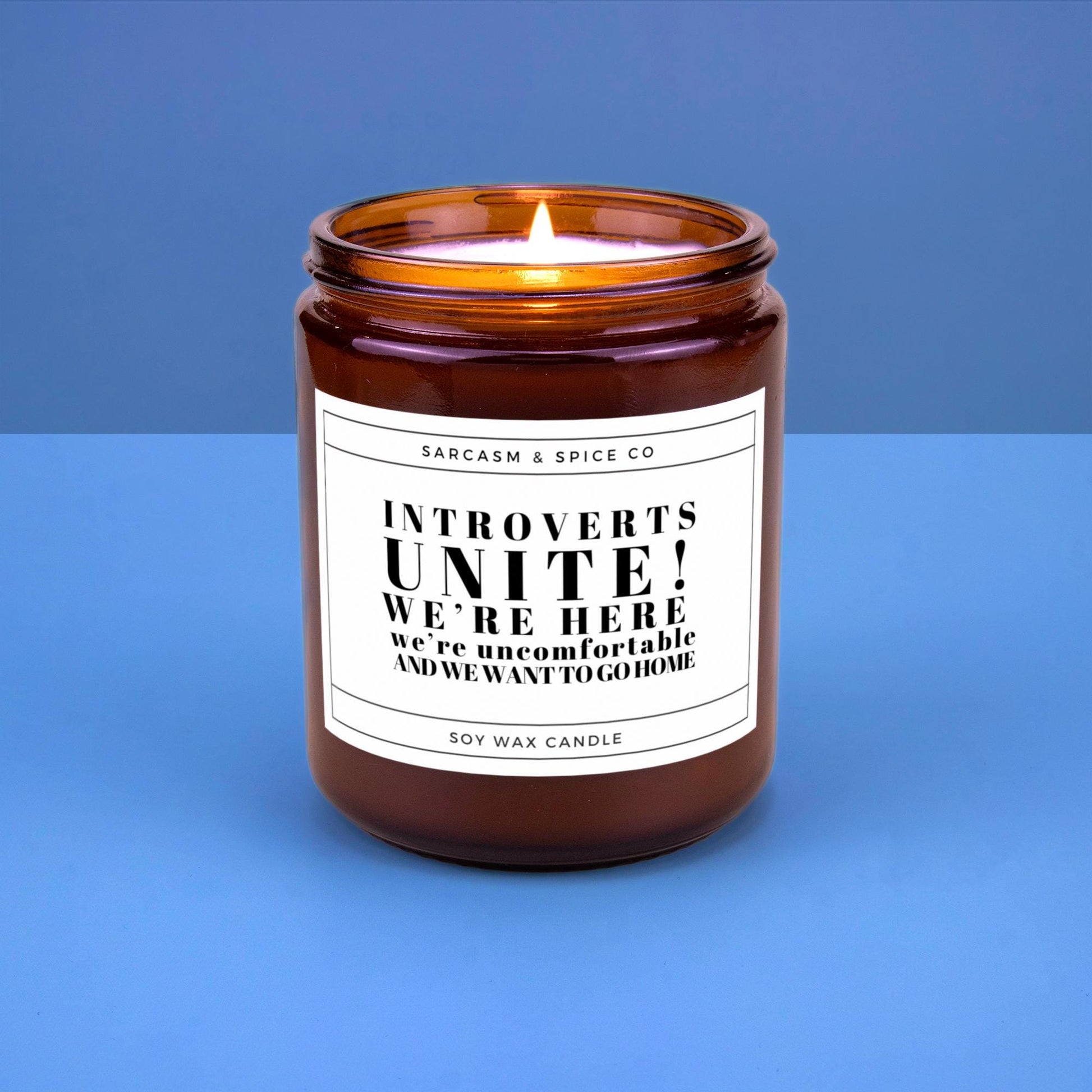 Funny Gift Candle for Friends Coworkers and Anyone Who Loves Humor Sarcasm – Introverts Unite We’re Here and Want to Go Home Candle
