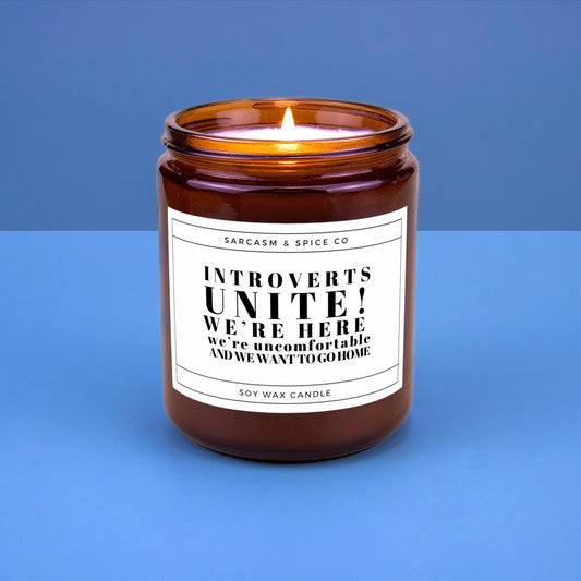 Funny Gift Candle for Friends Coworkers and Anyone Who Loves Humor Sarcasm – Introverts Unite We’re Here and Want to Go Home Candle