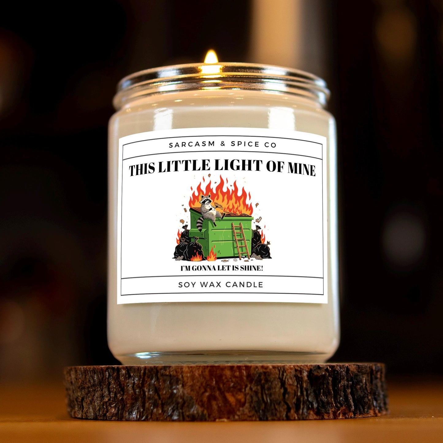 Funny Gift Candle for Friends Coworkers and Anyone Who Loves Humor and Sarcastic Home Decor – This Little Light of Mine Candle 5
