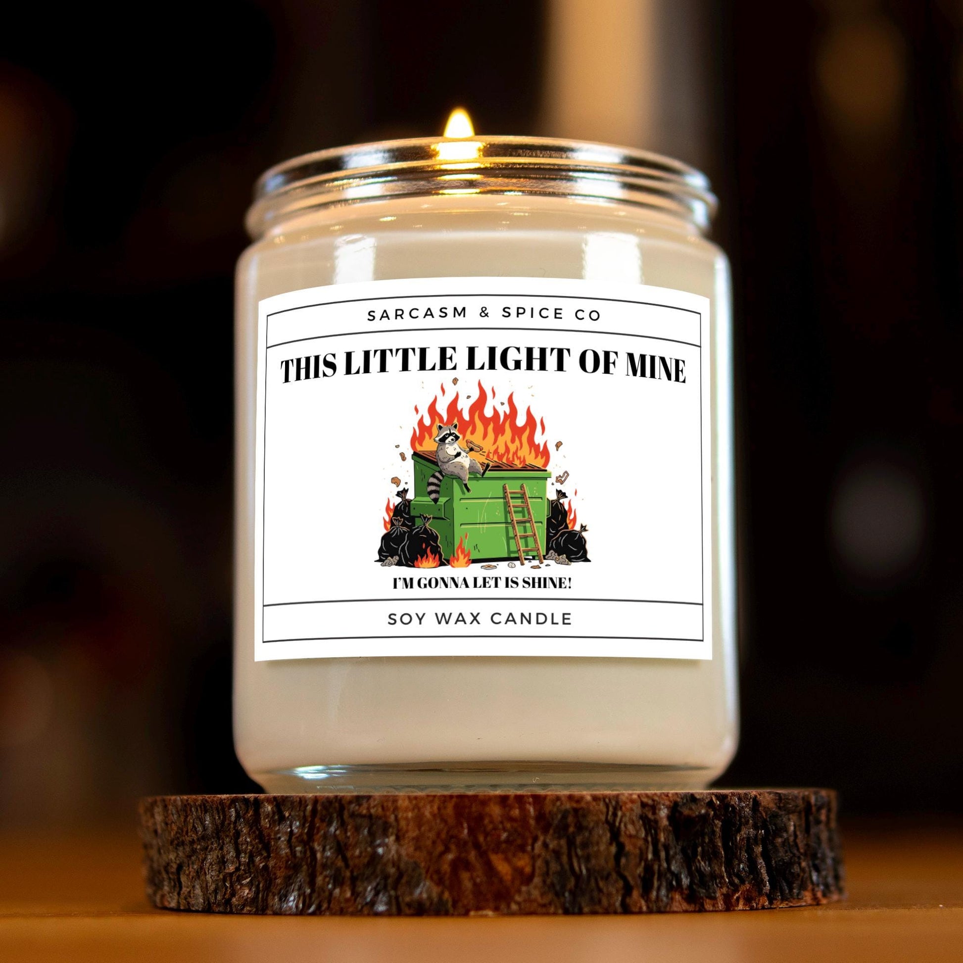 Funny Gift Candle for Friends Coworkers and Anyone Who Loves Humor and Sarcastic Home Decor – This Little Light of Mine Candle 5