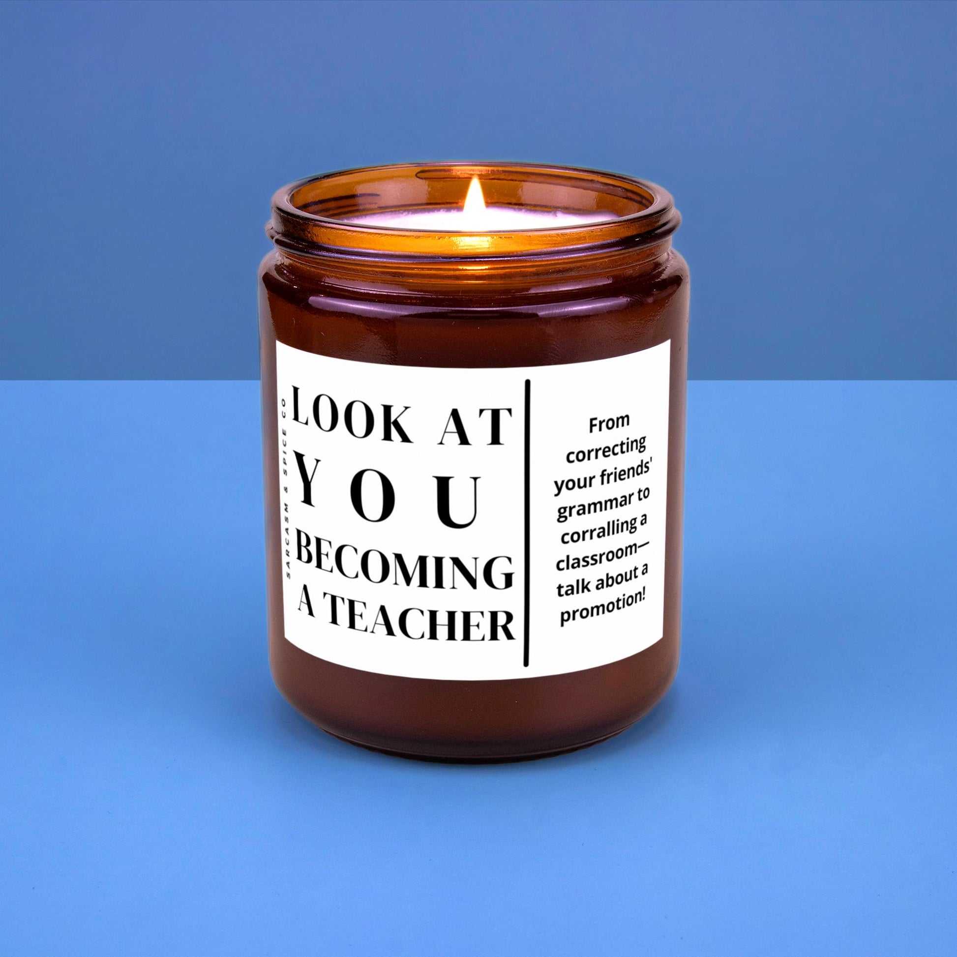 Teacher Graduation Gift from Student Teacher Appreciation Funny Gift for Student Teacher Grad Candle Look at You Becoming a Teacher