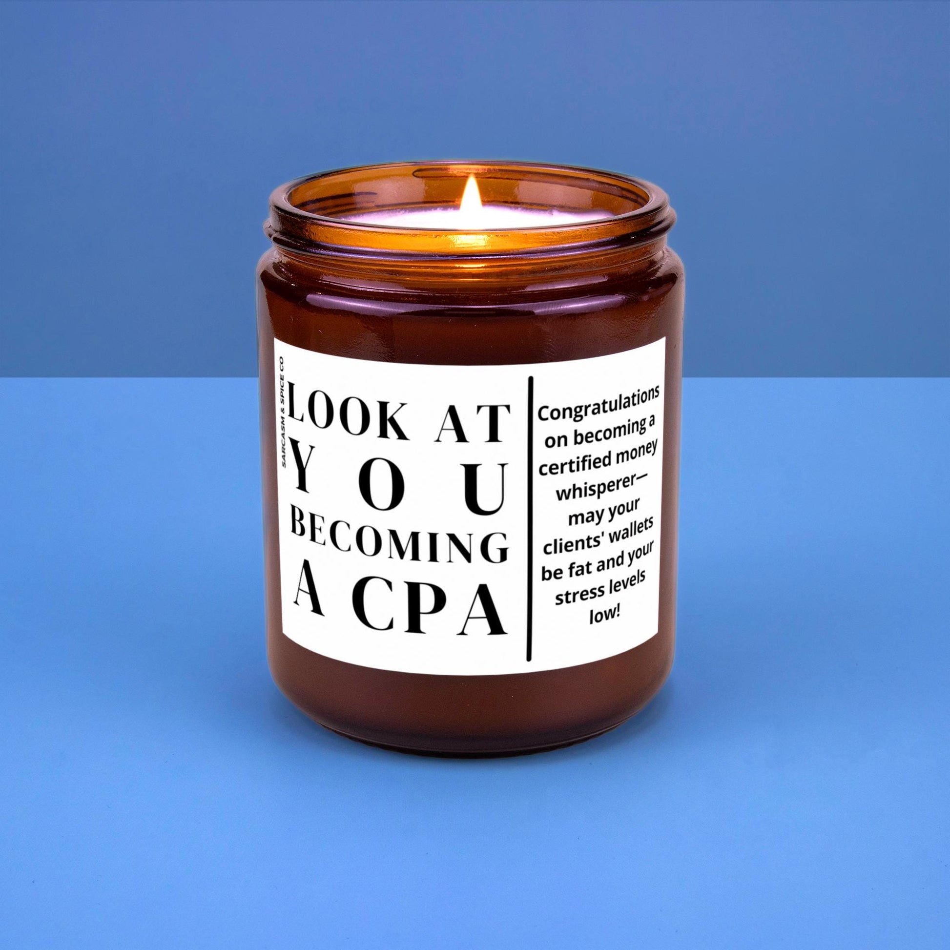 CPA Gift for CPA Future Accountant Graduation New Company Gift Promotion School Acceptance Look at You Becoming a CPA
