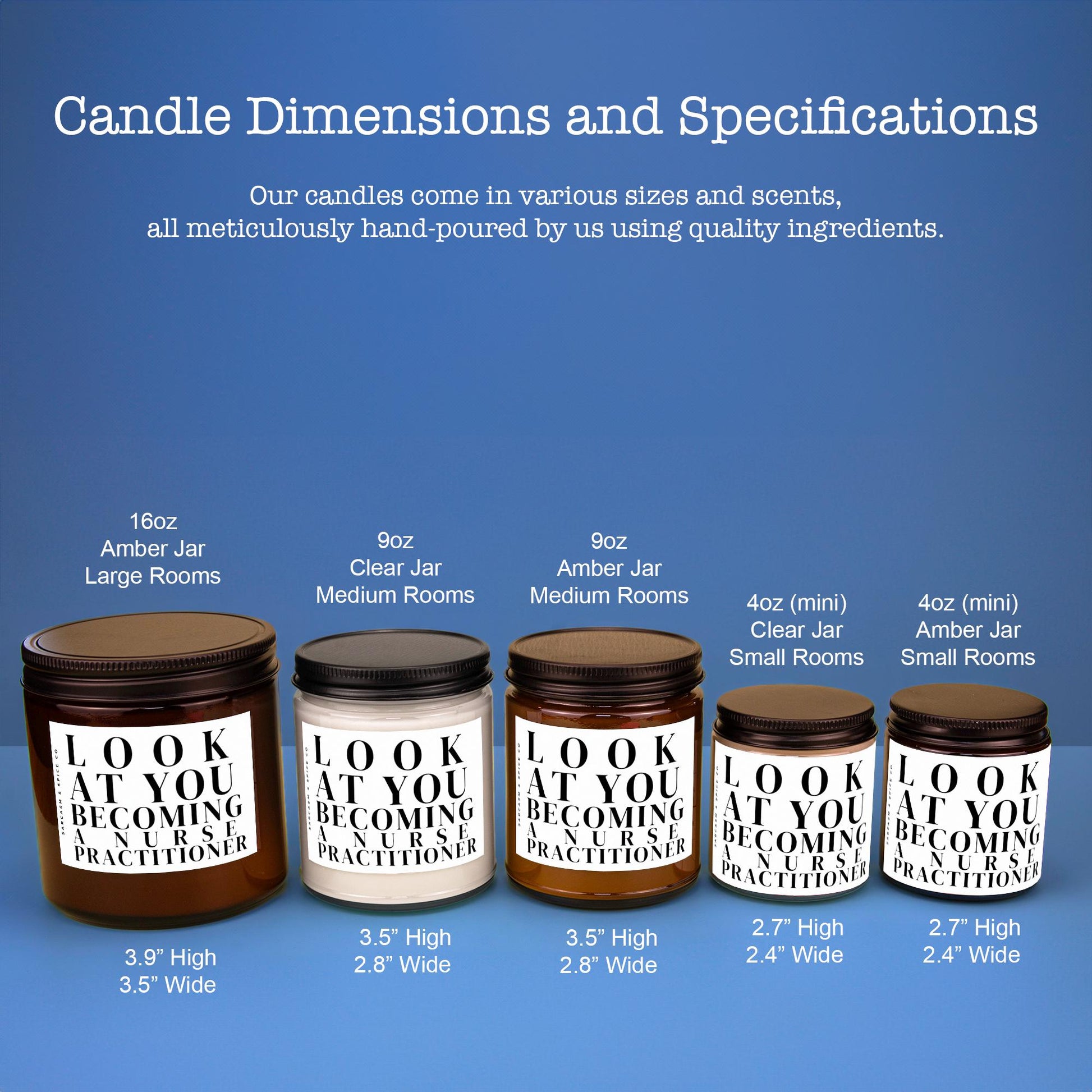 Nursing Practitioner School Graduation Candle Gift New Nurse Practitioner Candle NP New Job Gift Look at you Becoming a Nurse Practitioner