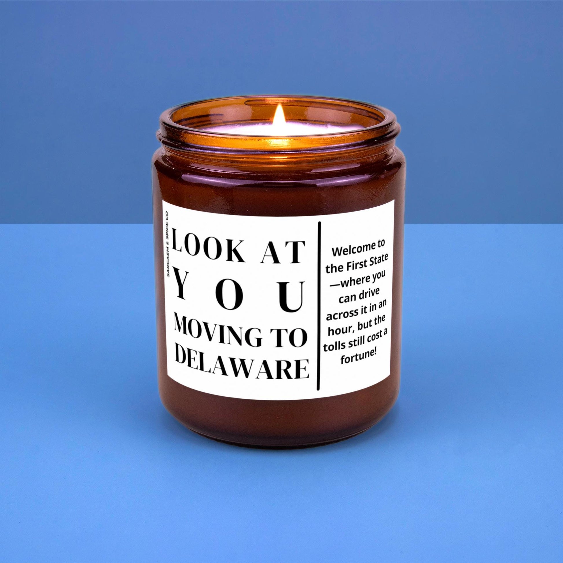 Delaware Moving Gift for New Home Housewarming Gift Friend Family Moving Job New Life Hand-Poured Soy Candle Look At You Moving To Delaware