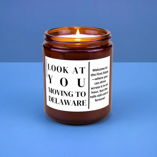 Delaware Moving Gift for New Home Housewarming Gift Friend Family Moving Job New Life Hand-Poured Soy Candle Look At You Moving To Delaware