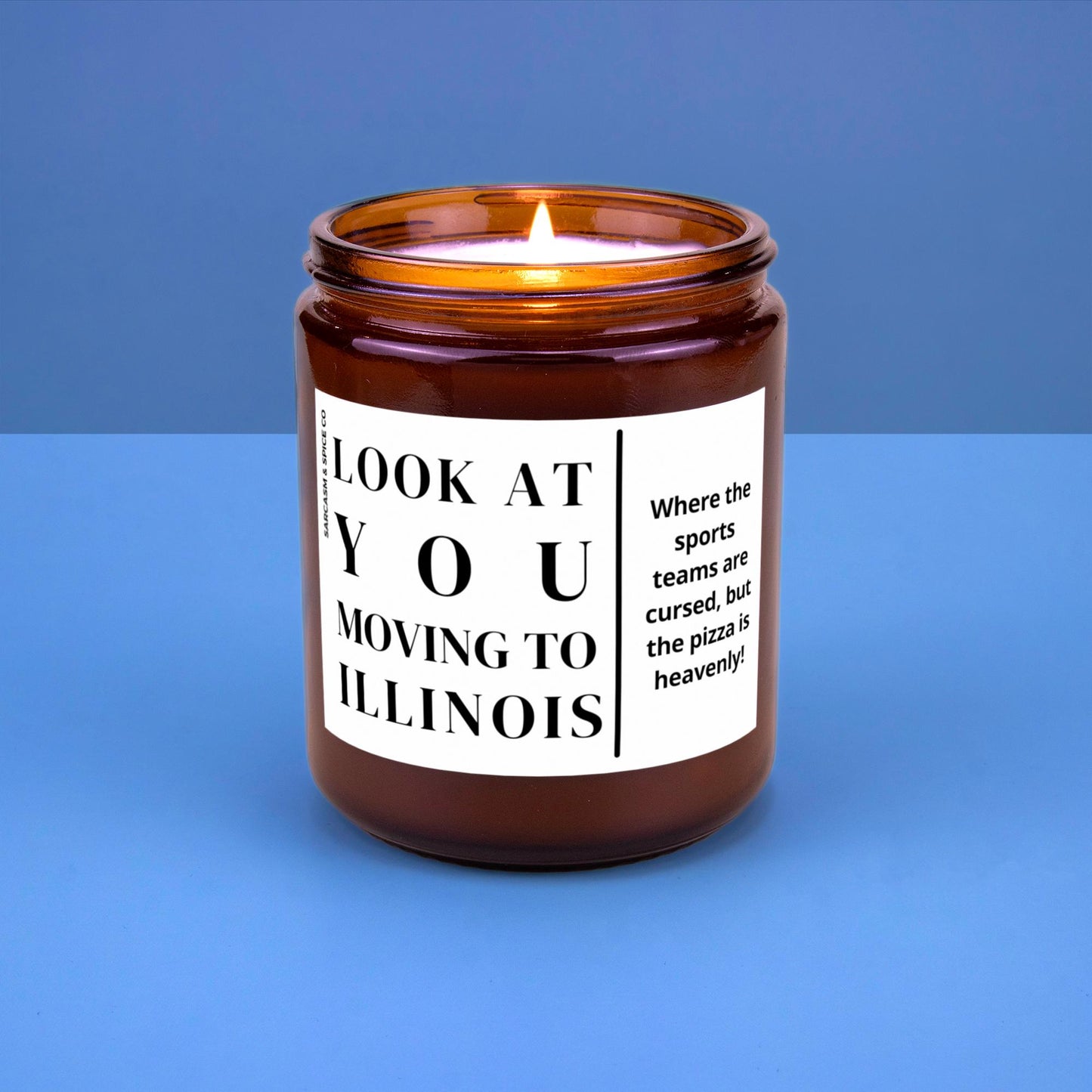 Illinois Moving Gift for New Home Housewarming Gift for Friend Family Moving Job New Life Soy Candle Look At You Moving To Illinois