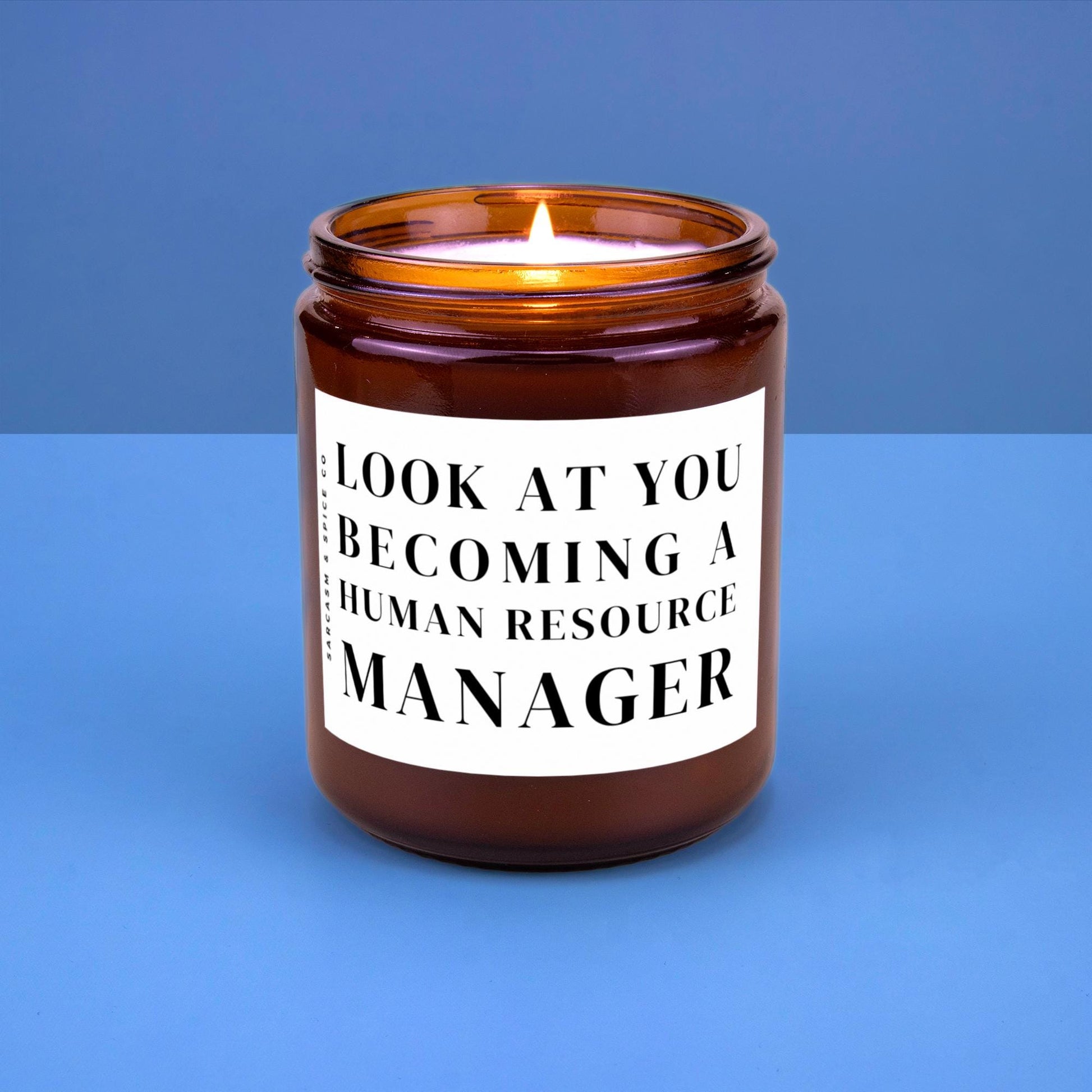 Human Resources Manager Gift HR Graduation Business Manager HR Grad Look at you becoming a Human Resource Manager