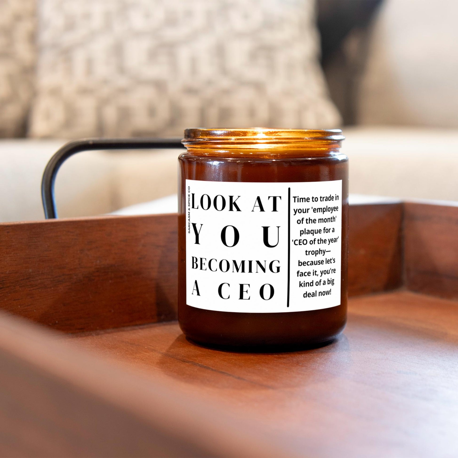 CEO Gift for CEO Future CEO Promotion Chief Executive Officer New Company Gift Promotion School Acceptance Candle Look at You Becoming a CEO