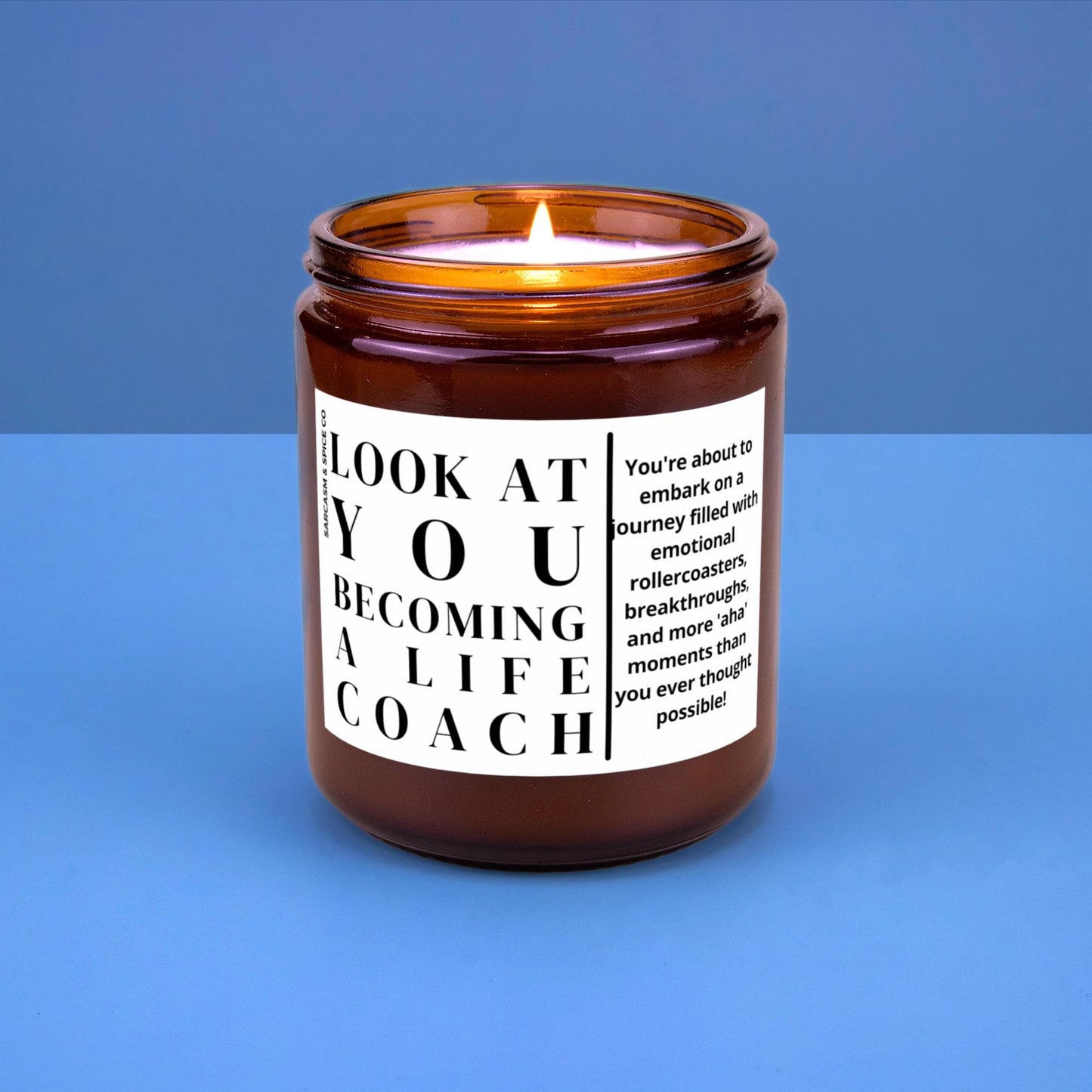 Life Coach Gift Funny Life Coach Graduation Candle Therapist Gift Therapy Hand Made Soy Wax Candle Look at You Becoming a Life Coach