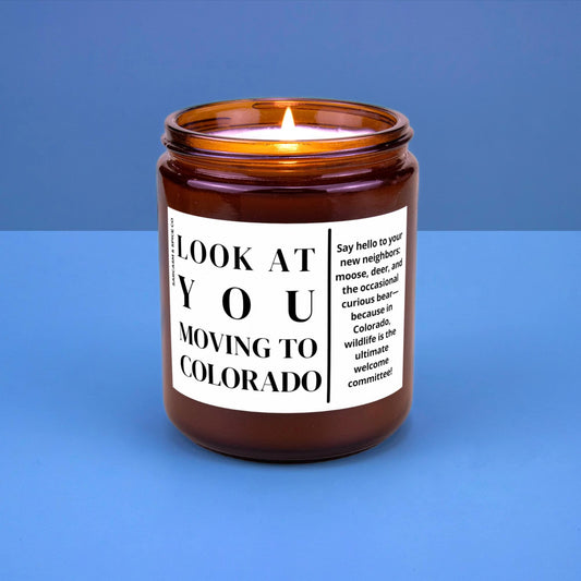 Colorado Moving Gift for New Home Housewarming Gift Friend Family Moving Job New Life Hand-Poured Soy Candle Look At You Moving To Colorado