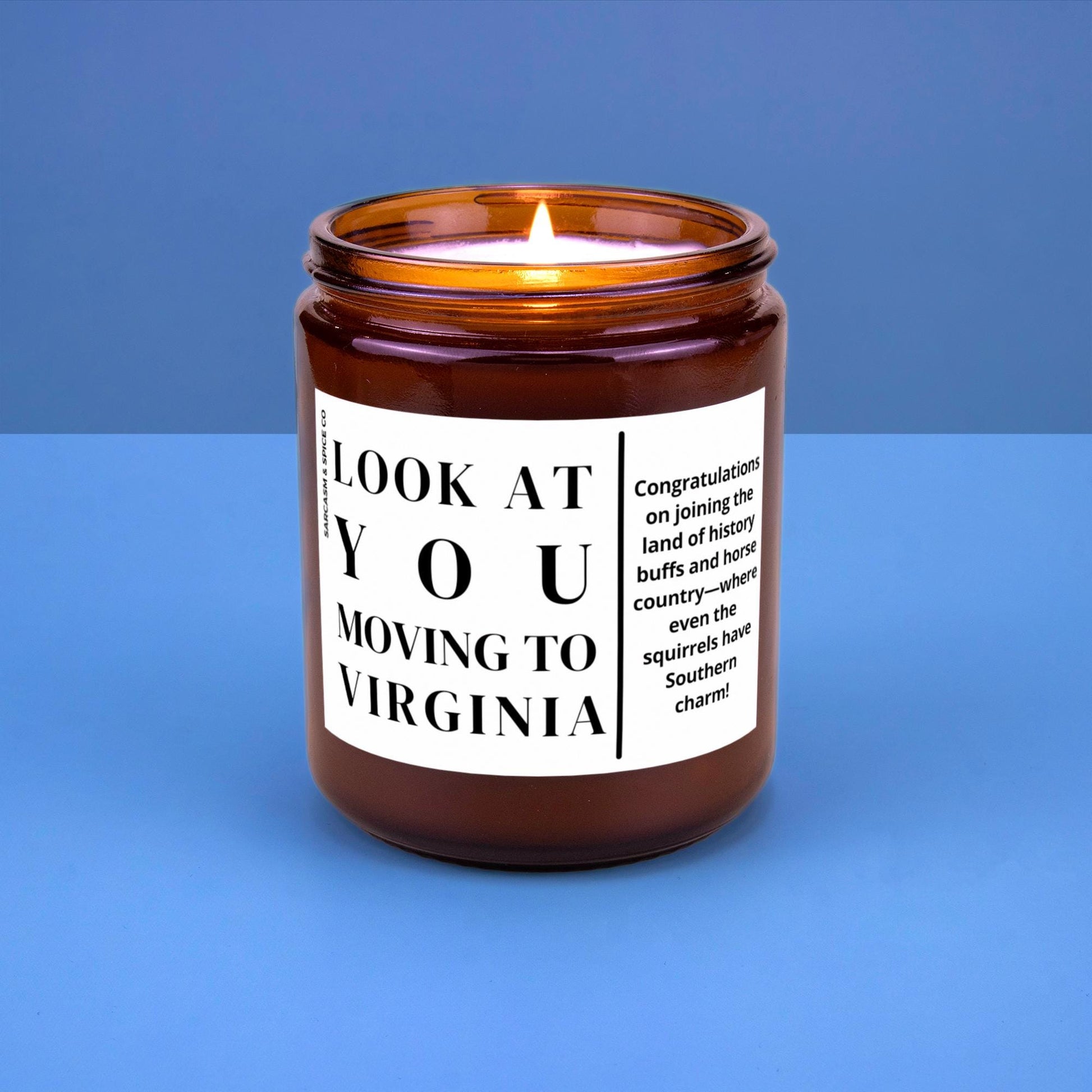 Virginia Moving Gift for New Home Housewarming Gift Friend Family Moving Job New Life Hand-Poured Soy Candle Look At You Moving To Virginia