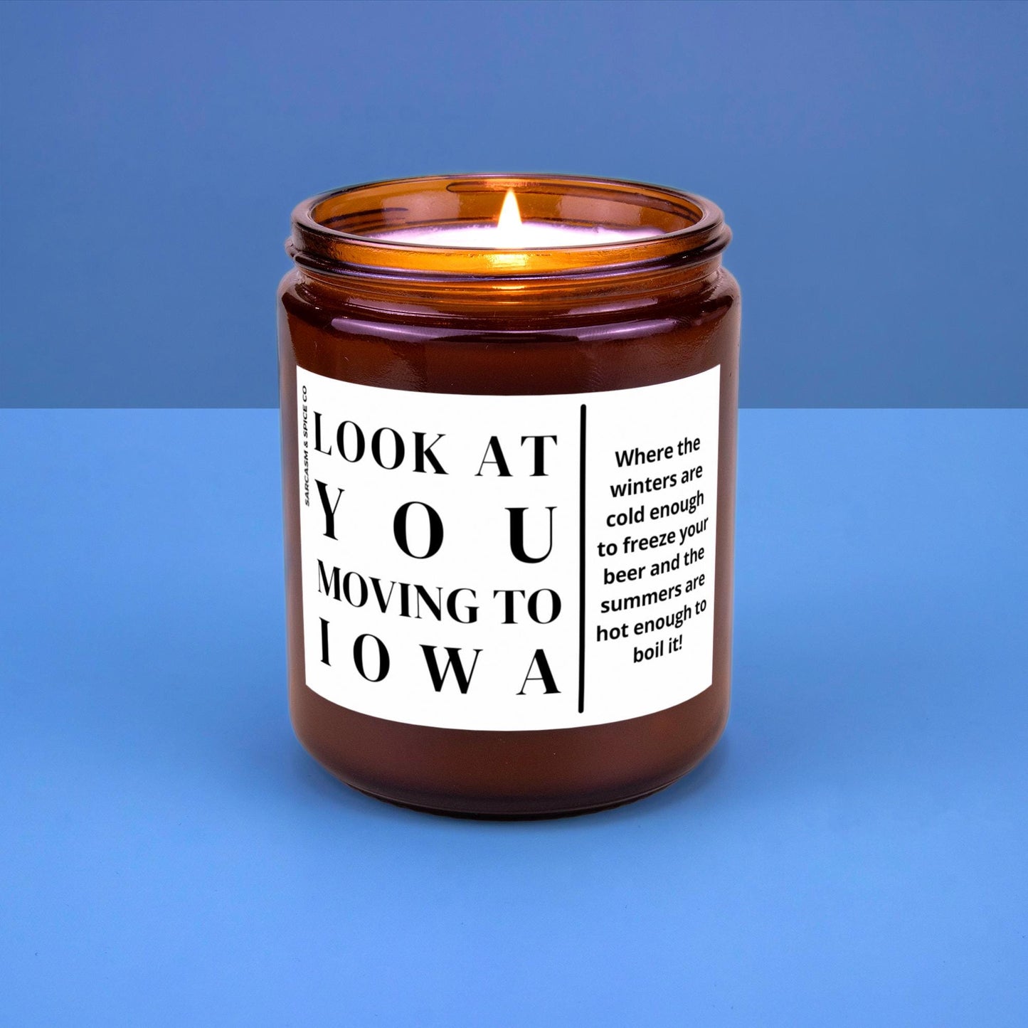 Iowa Moving Gift for New Home Housewarming Gift for Friend Family Moving Job New Life Hand-Poured Soy Candle Look At You Moving To Iowa