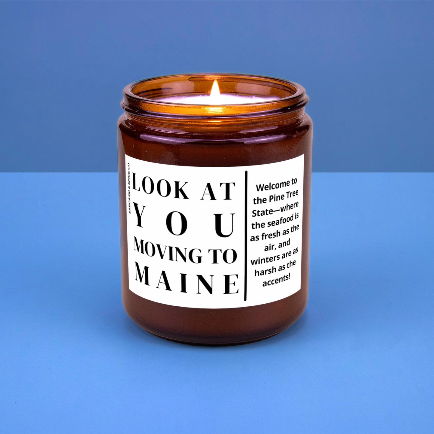 Maine Moving Gift for New Home Housewarming Gift Friend Family Moving Job New Life Hand-Poured Soy Candle Look At You Moving To Maine