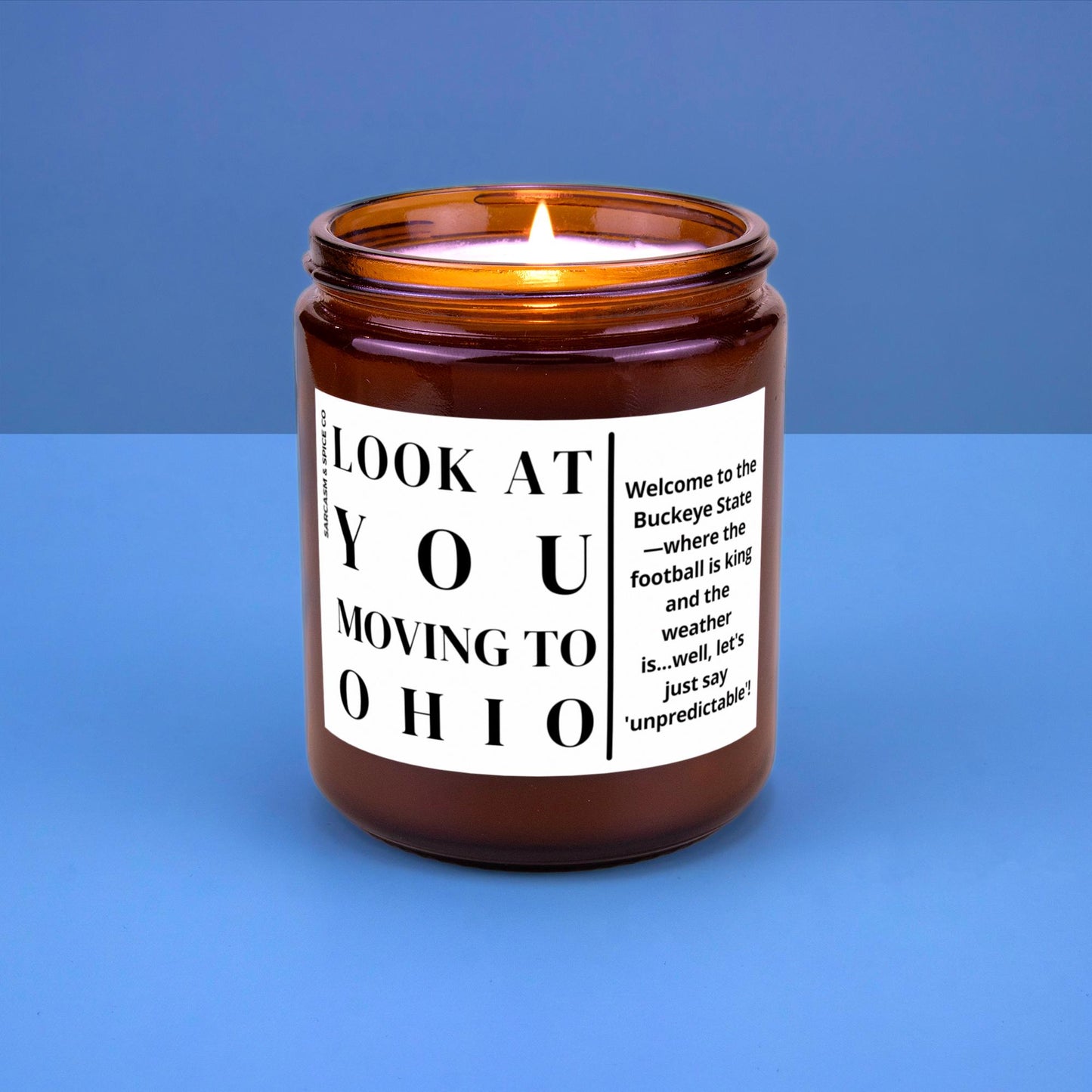 Ohio Moving Gift for New Home Housewarming Gift Friend Family Moving Job New Life Hand-Poured Soy Candle Look At You Moving To Ohio