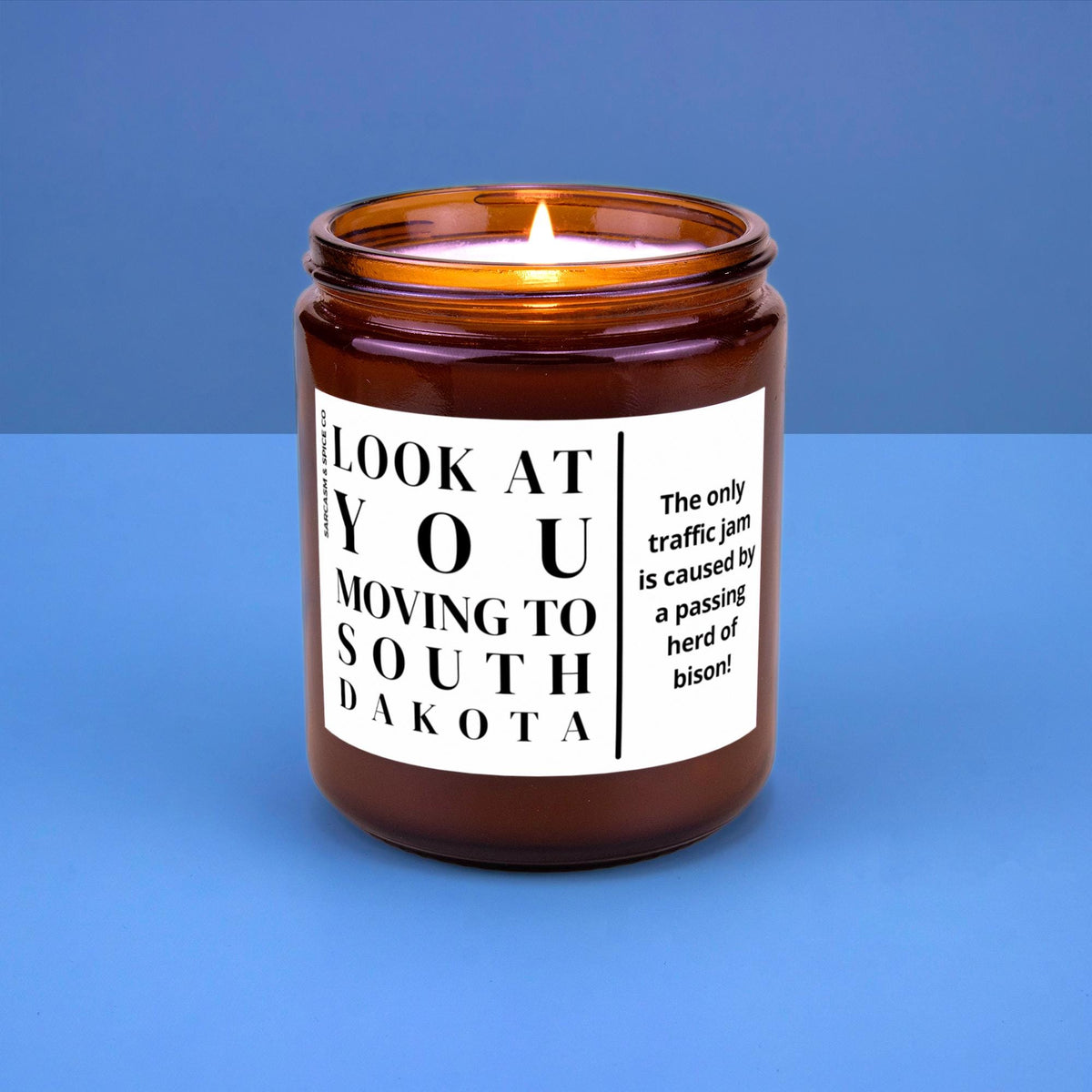 South Dakota Moving Gift for New Home Housewarming Gift Friend Family Moving Job New Life Soy Candle Look At You Moving To South Dakota