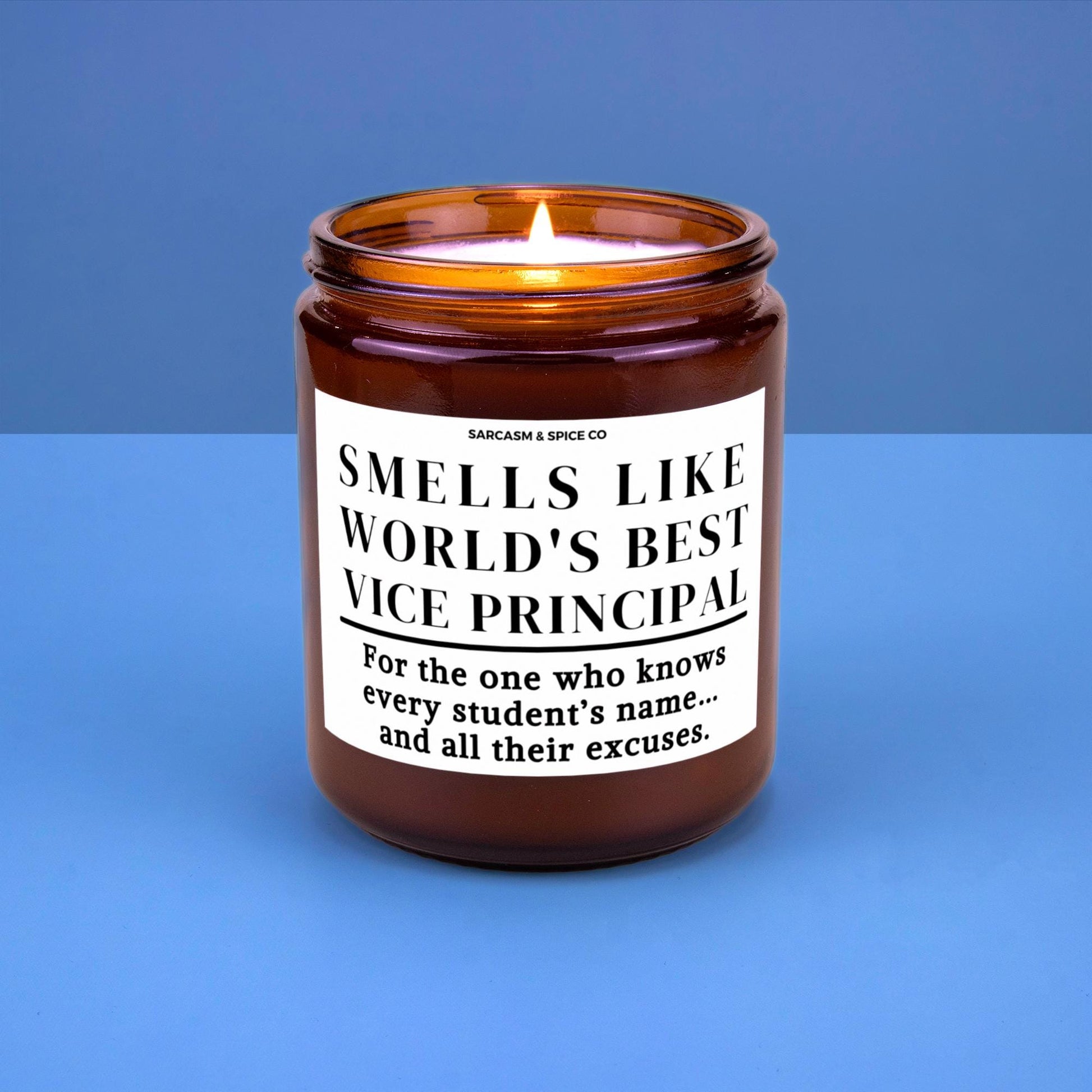 Best Vice Principal Appreciation Gift Vice Principal Funny Candle Funny Surprise Gift for Teacher Smell Like Worlds Best Vice Principal