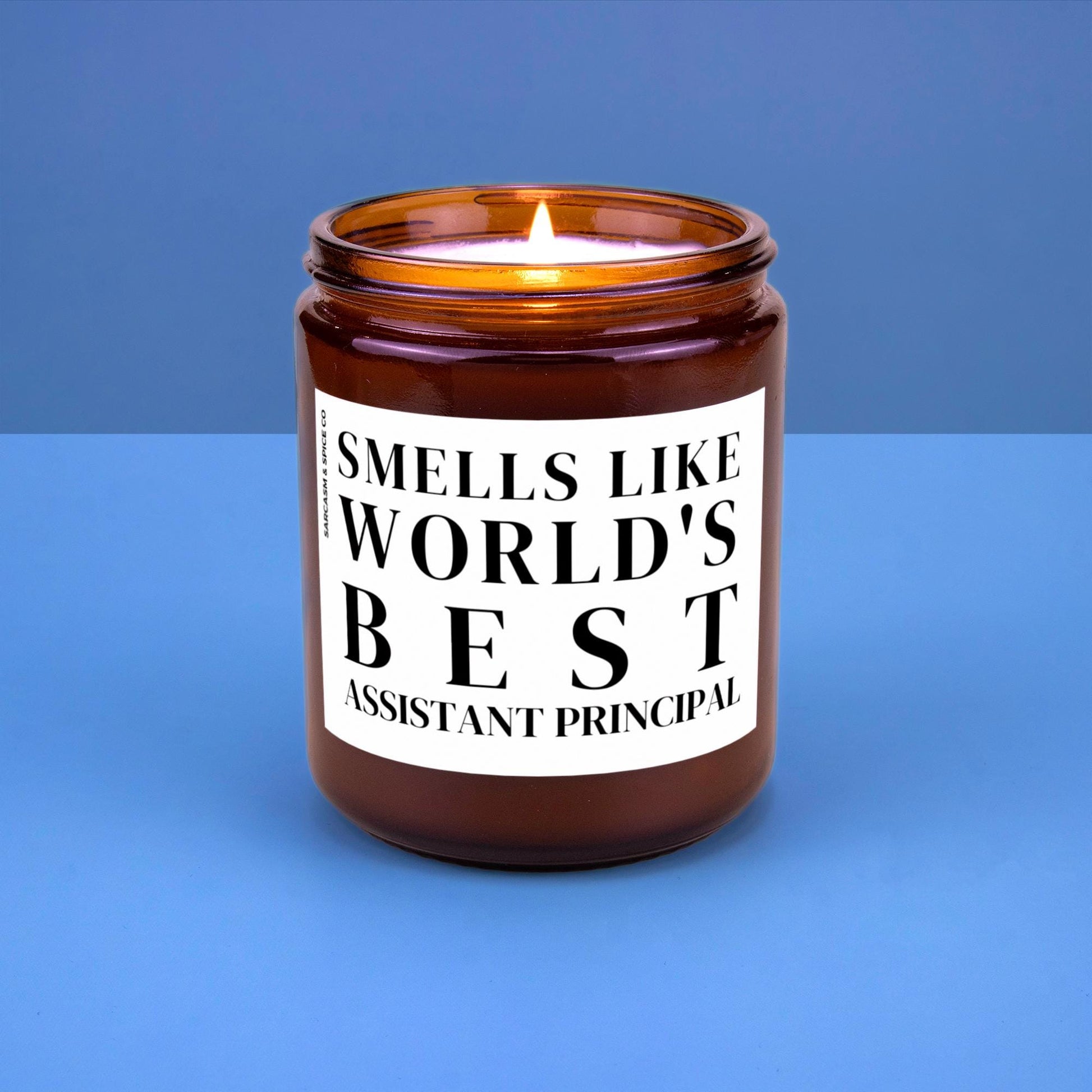 Assistant Principal Appreciation Gift Principal Funny Candle Funny Surprise Gift for Teacher Smell Like Worlds Best Assistant Principal