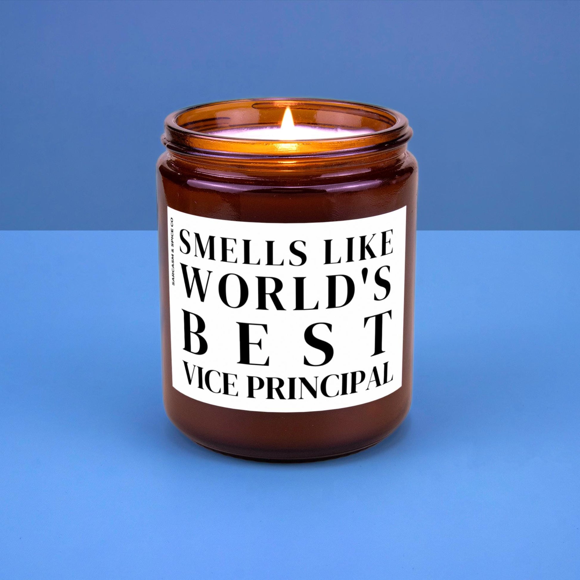 Vice Principal Appreciation Gift Vice Principal Funny Candle Funny Surprise Gift for Teacher Smell Like Worlds Best Vice Principal