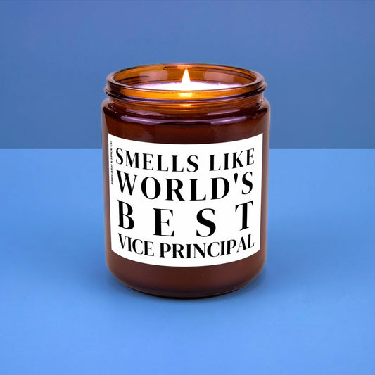 Vice Principal Appreciation Gift Vice Principal Funny Candle Funny Surprise Gift for Teacher Smell Like Worlds Best Vice Principal