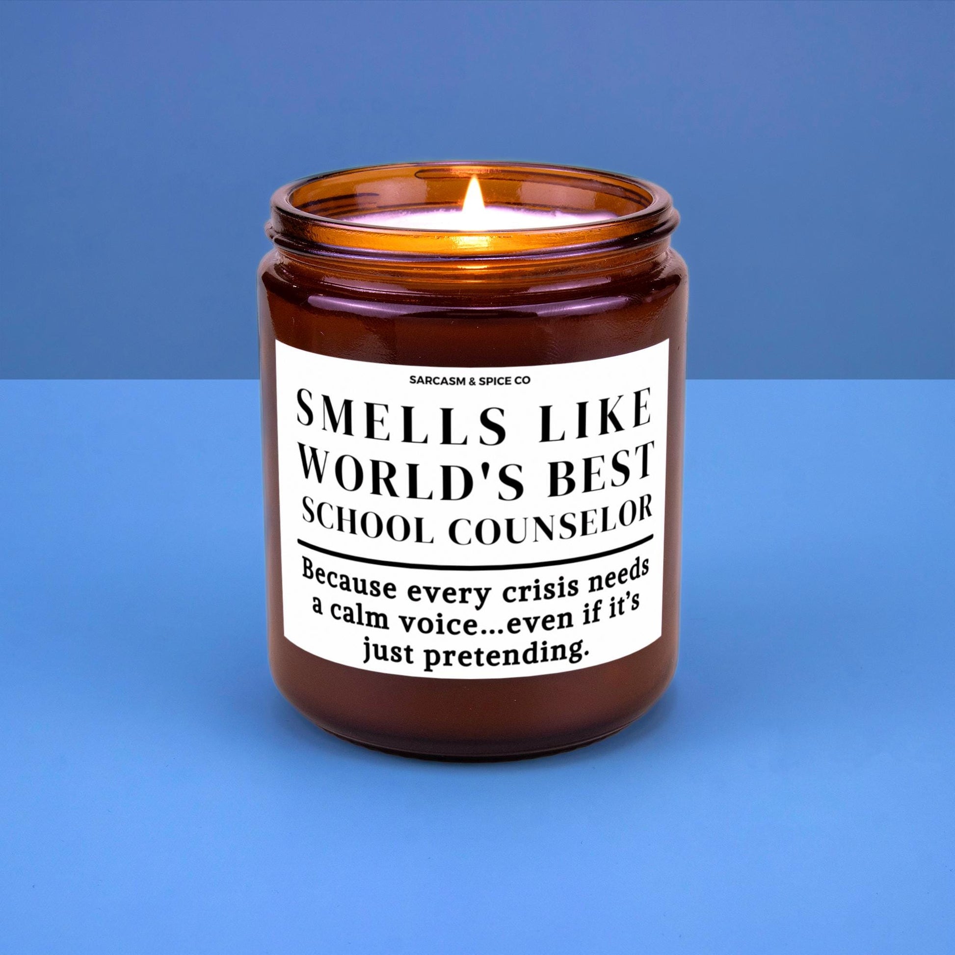 Best School Counselor Appreciation Gift Teacher Funny Candle Funny Surprise Gift for Counselor Smell Like Worlds Best School Counselor