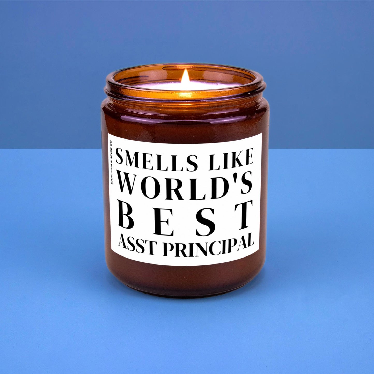 Asst Principal Appreciation Gift Asst Principal Funny Candle Funny Surprise Gift for Teacher Smell Like Worlds Best Asst Principal