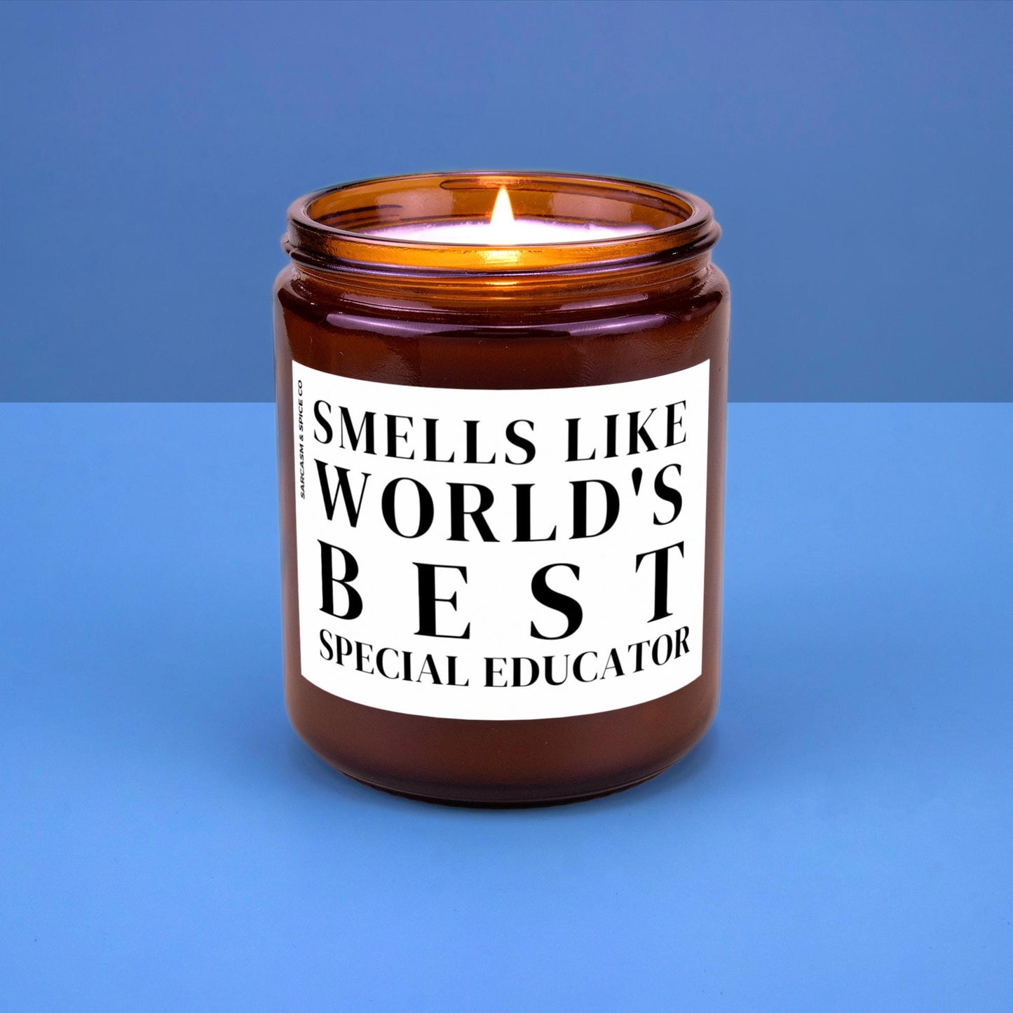 Special Educator Appreciation Gift Special Educator Candle Funny Surprise Gift for Teacher Smell Like Worlds Best Special Educator